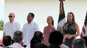 Arranca planta de moscas contra gusano barrenador