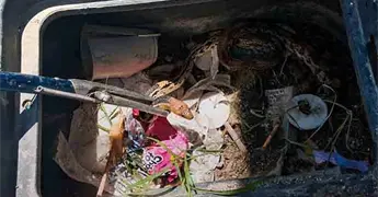 Capturan bomberos una v&iacute;bora