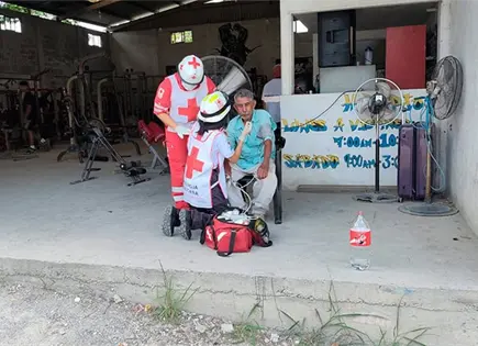 Otro ataque de abejas se registra en la Huasteca