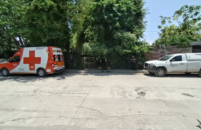 Aumenta ola de suicidios este año