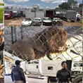 Detallan megadecomiso en SGS; hallan veh&iacute;culos y hasta fauna silvestre