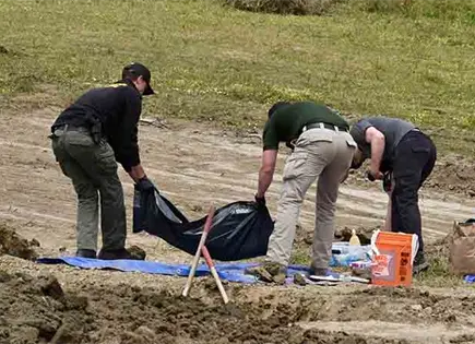 Hallan 117 perros muertos en refugio