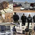 Hallan animales ex&oacute;ticos en predio de Los G&oacute;mez