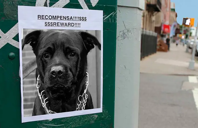 Hay denuncia por retención de una mascota