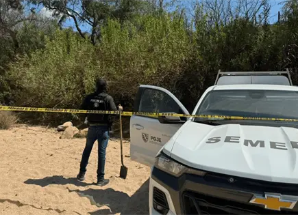 Hallan fosas clandestinas en Los Cabos, BCS Hallan fosas clandestinas en Los Cabos, BCS