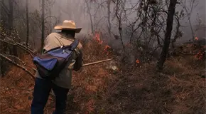SLP, s&eacute;ptimo estado m&aacute;s afectado por incendios: Segam