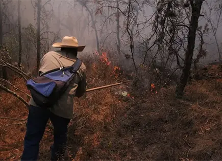 SLP, s&eacute;ptimo estado m&aacute;s afectado por incendios: Segam