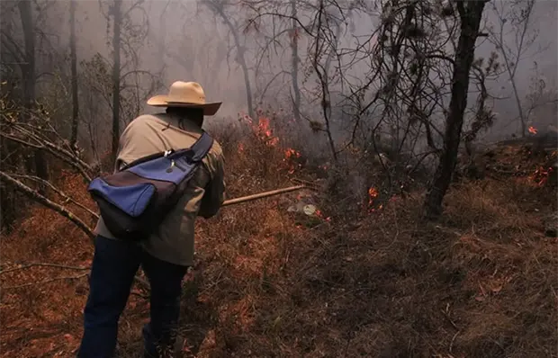 SLP, s&eacute;ptimo estado m&aacute;s afectado por incendios: Segam