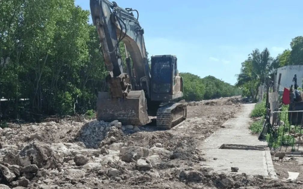 Vecinos denuncian tala de manglar en Progreso, Yucatán