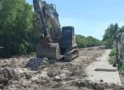Vecinos denuncian tala de manglar en Progreso, Yucatán Vecinos denuncian tala de manglar en Progreso, Yucatán
