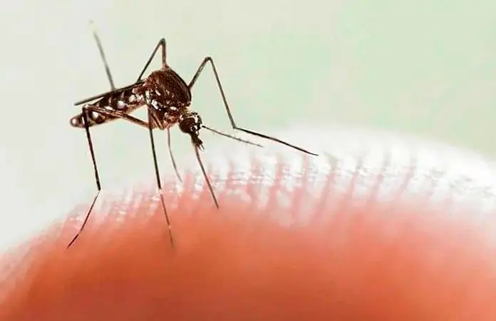 Campaña para prevenir un brote de dengue