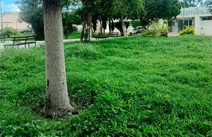 Podan plazas y jardines de la ciudad