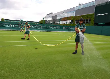 Wimbledon mantiene césped verde pese a ola de calor récord Wimbledon mantiene césped verde pese a ola de calor récord