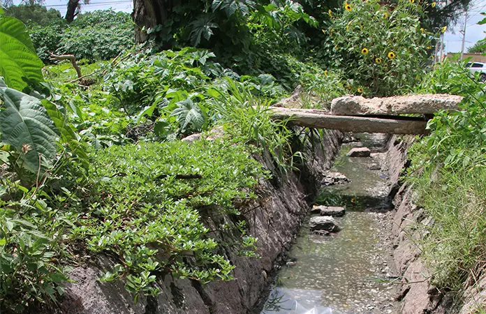 Construirían colector pluvial en la colonia Las Flores