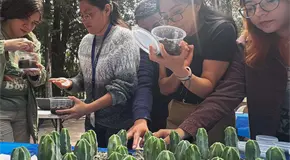 Impulsan en SLP conservación de cactáceas en riesgo