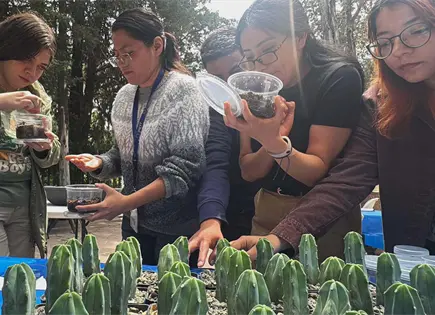 Impulsan en SLP conservaci&oacute;n de cact&aacute;ceas en riesgo