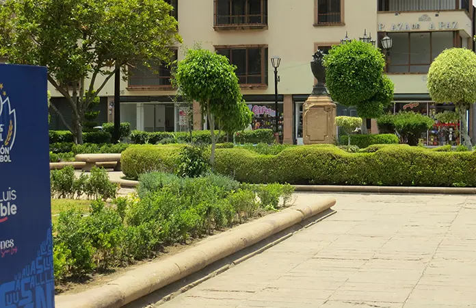 Rehabilitan áreas verdes del Centro