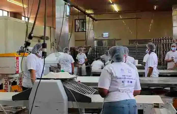 Se incrementará demanda laboral durante vacaciones