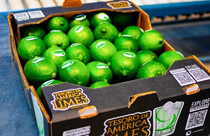 Veracruzanos exportan limón persa a Rusia