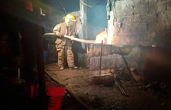 Mueren cochinitos calcinados en incendio