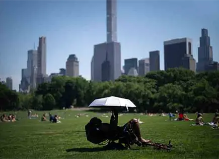En N. Jersey, 19 muertes por calor En N. Jersey, 19 muertes por calor
