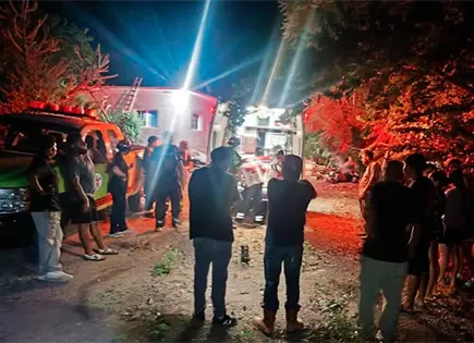 Enjambre de abejas ataca a turistas