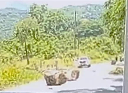Video | Carretera a Xilitla, afectada por derrumbes