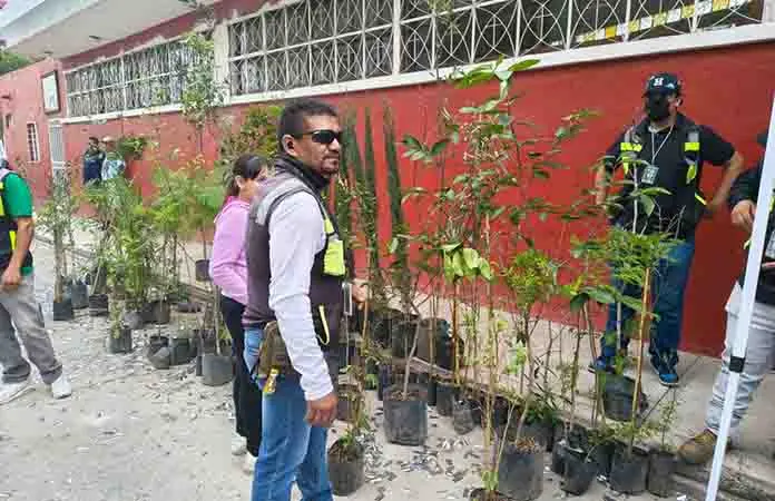 Implementan el programa "Mapa Verde