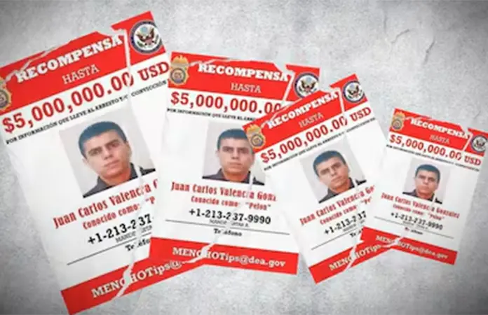 Nuevo líder del CJNG no ha demostrado fuerza, dicen expertos