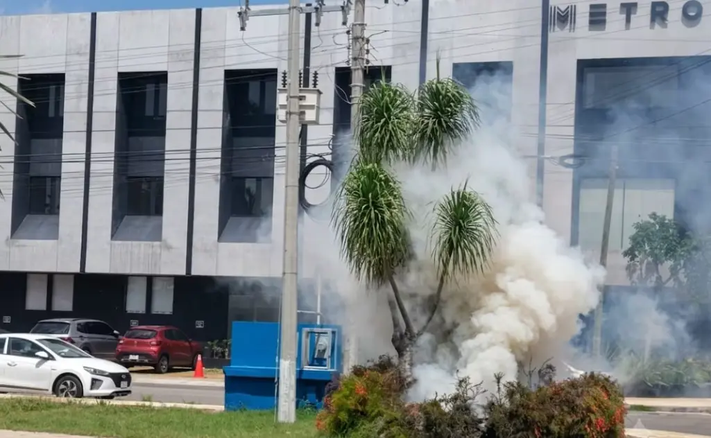 Paramédicos y bomberos atienden ataque de abejas a jardinero en Mérida