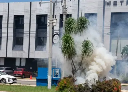 Paramédicos y bomberos atienden ataque de abejas a jardinero en Mérida Paramédicos y bomberos atienden ataque de abejas a jardinero en Mérida