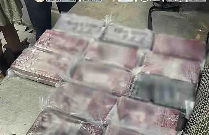 Apresan a 11 con 165 kilos de coca