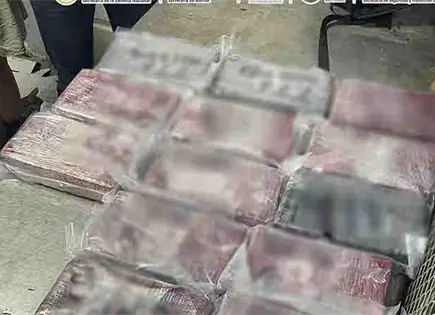 Apresan a 11 con 165 kilos de coca
