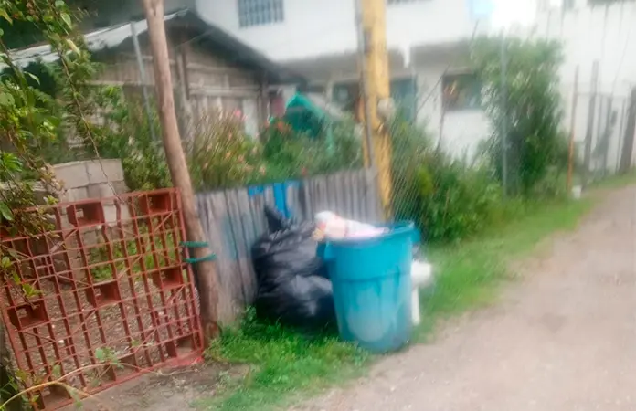 Colonias de zona centro, un basurero