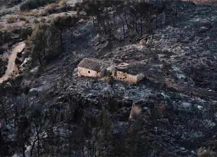 Incendio forestal en Almer&iacute;a deja 12 muertos y moviliza bomberos