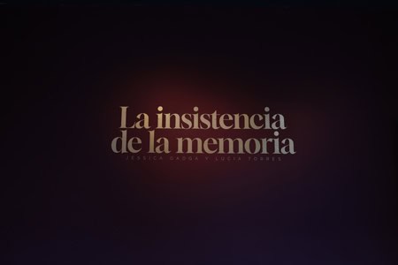 imagen carrusel