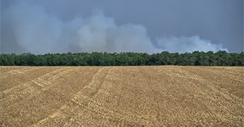 Francia despliega recursos para controlar incendio en bosque cercano a Par&iacute;s