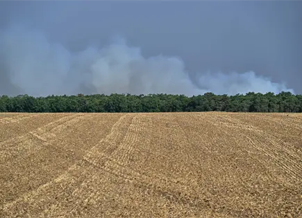 Francia despliega recursos para controlar incendio en bosque cercano a Par&iacute;s