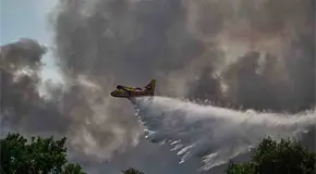 Incendio consume un bosque en Francia
