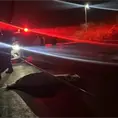 Muere una motociclista en rúa a Zacatecas; otra queda herida Muere una motociclista en rúa a Zacatecas; otra queda herida
