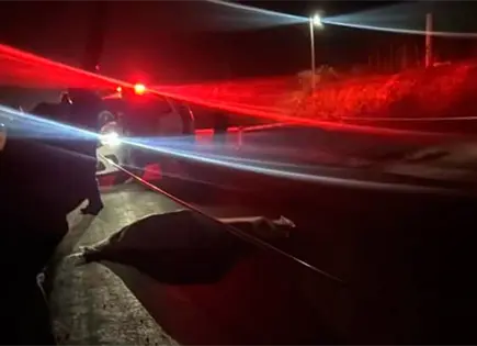 Fallece una mujer al caer de su moto Fallece una mujer al caer de su moto