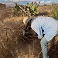 Especial | Escamoles, la mina de oro en el campo Especial | Escamoles, la mina de oro en el campo