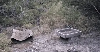 Colectivo localiza tambos con restos calcinados y fosa clandestina