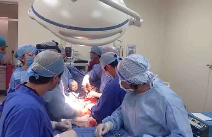 SLP realizó 84 trasplantes en primer semestre de 2026