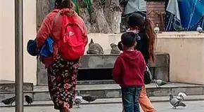 Abundan los pedig&uuml;e&ntilde;os en cruceros