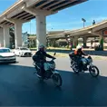 Ni scooter ni similares en el distribuidor Juárez