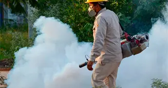 Llama Ssa a prevenir dengue y chikungunya