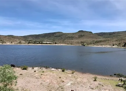 Profepa investiga pesca desmedida en Cañada del Lobo Profepa investiga pesca desmedida en Cañada del Lobo