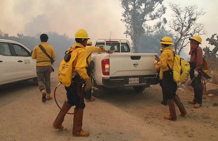 San Luis, séptimo nacional en incendios forestales