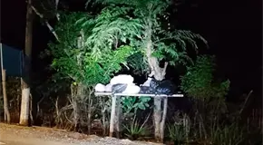 Sigue el basurero en ejidos de zona tének
